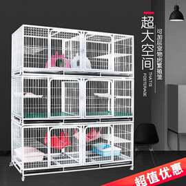 湖南鸽子养殖场