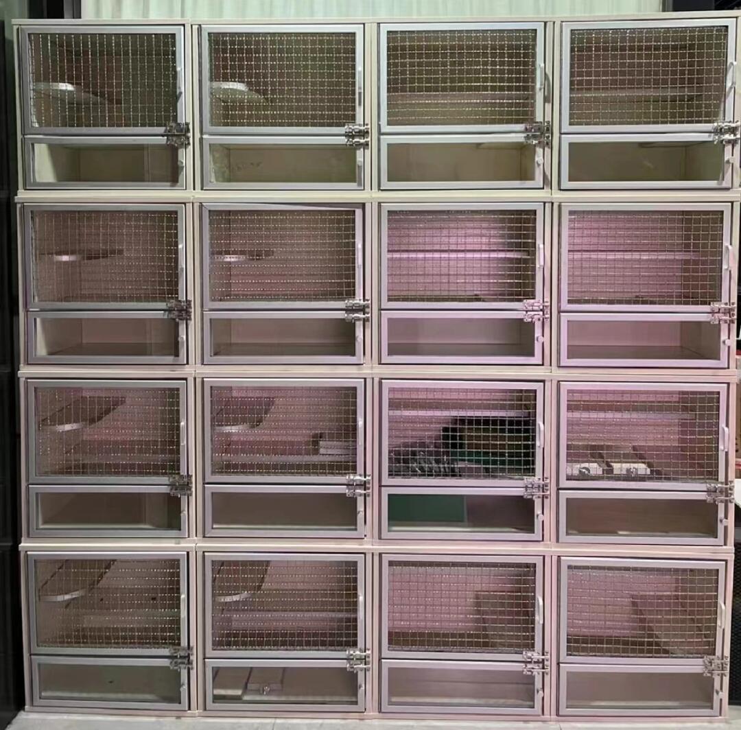 7sevenpet猫舍撸猫馆寄养宠物店